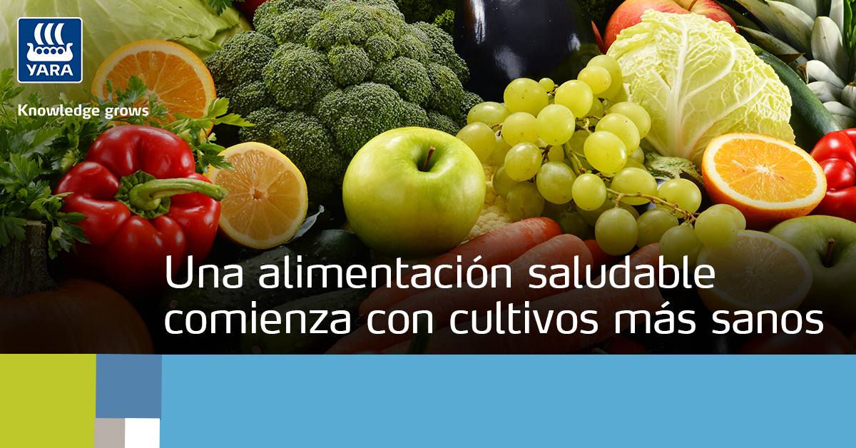 Día Mundial de la Alimentación